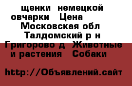 щенки  немецкой  овчарки › Цена ­ 6 000 - Московская обл., Талдомский р-н, Григорово д. Животные и растения » Собаки   